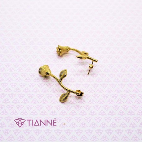 Arete Rosa
